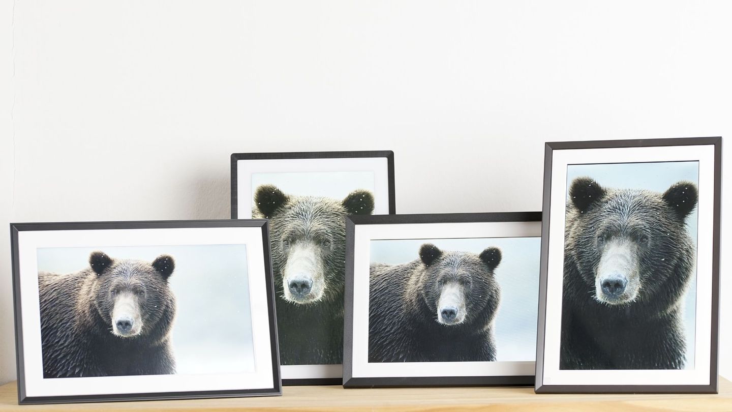 Digitale Bilderrahmen Test: Fünf Modelle im Test