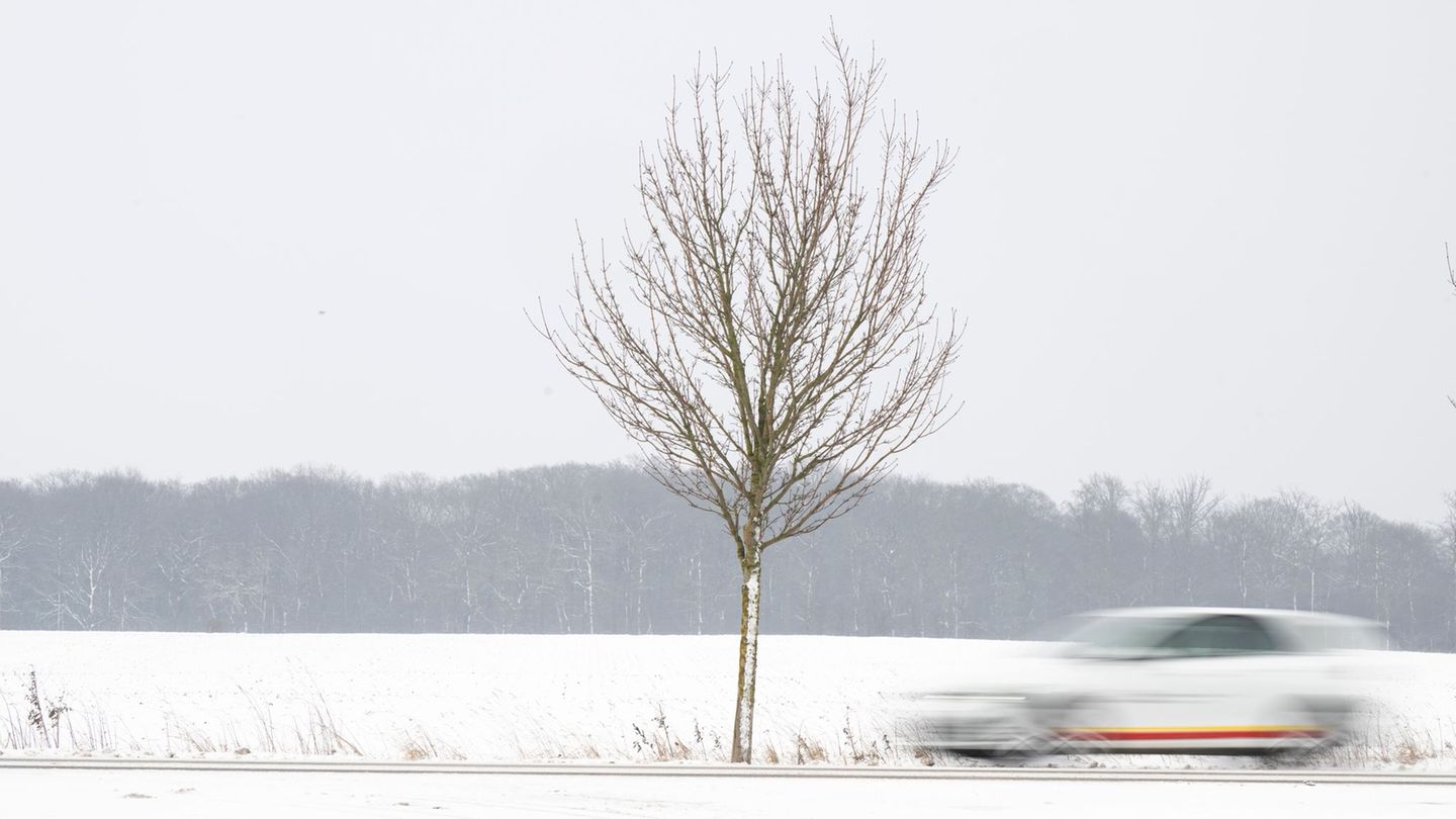 Der Busverkehr in Nordwestmecklenburg läuft aktuell abgesehen vom eingestellten Schülerverkehr. Foto: Philip Dulian/dpa