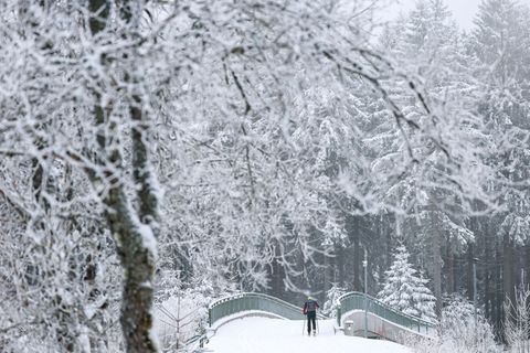 Auf der Kammloipe herrschen größtenteils gute bis sehr gute Bedingungen für Langläufer. (Archivbild) Foto: Jan Woitas/dpa