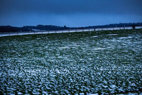 Selbst in der Eifel sind Wiesen nur noch leicht mit Schnee bedeckt. Foto: Thomas Banneyer/dpa