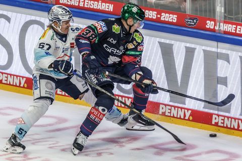 Die Eisbären Berlin treffen im DEL-Winter-Game am Samstag erneut auf die Dresdner Eislöwen. Foto: Andreas Gora/dpa