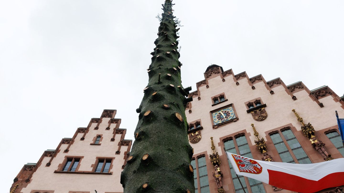 Der Frankfurter Weihnachtsbaum "Frau Holle" ist Geschichte. Am Freitag wurde der Baum entastet und zerlegt. Foto: Lando Hass/dpa