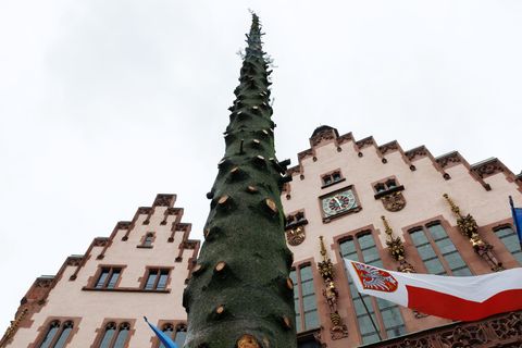 Der Frankfurter Weihnachtsbaum "Frau Holle" ist Geschichte. Am Freitag wurde der Baum entastet und zerlegt. Foto: Lando Hass/dpa