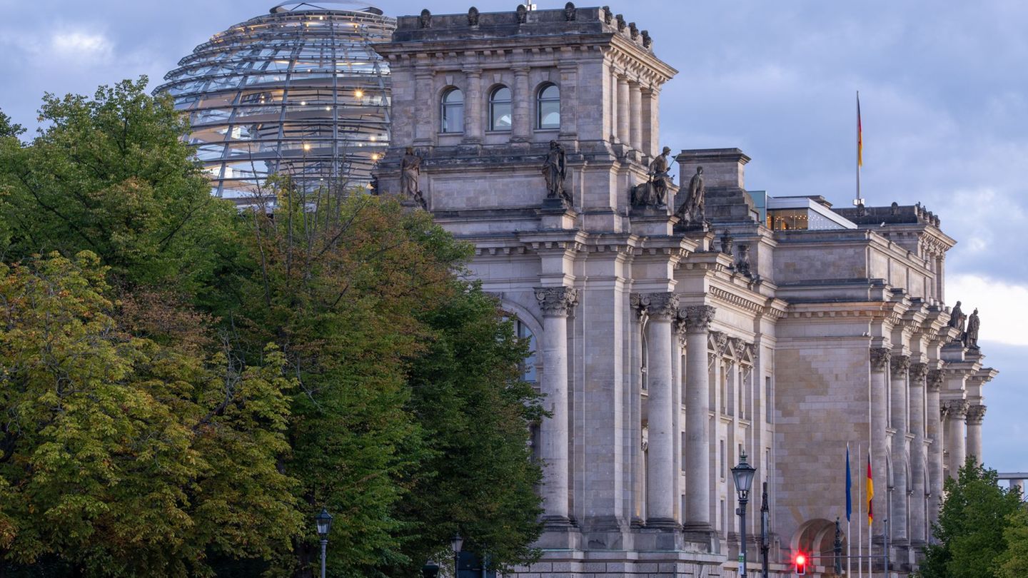 Führen Baumängel am Bundestag dazu, dass es dort stinkt? Vizepräsident Nouiripour beklagt das. Foto: Soeren Stache/dpa