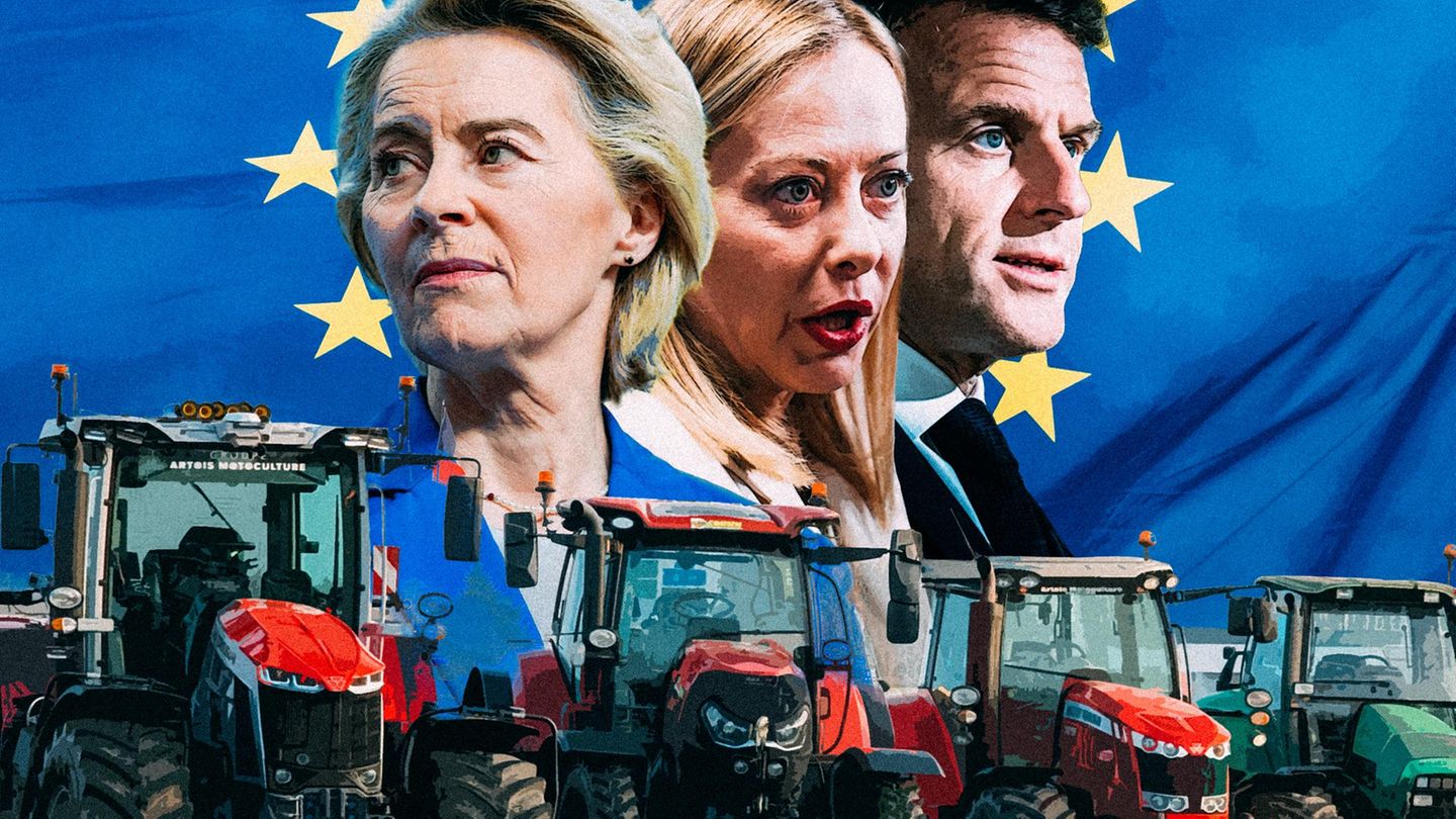 Fleisch und andere landwirtschaftliche Produkte aus Südamerika könnten durch das Mercosur-Abkommen mit der EU günstiger werden