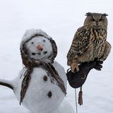 "Elli" brachte genug Schnee, um daraus Schneemänner zu bauen. Auf diesem Exemplar im Vogelpark im mecklenburg-vorpommerschen Marlow ließ sich ein Uhu nieder