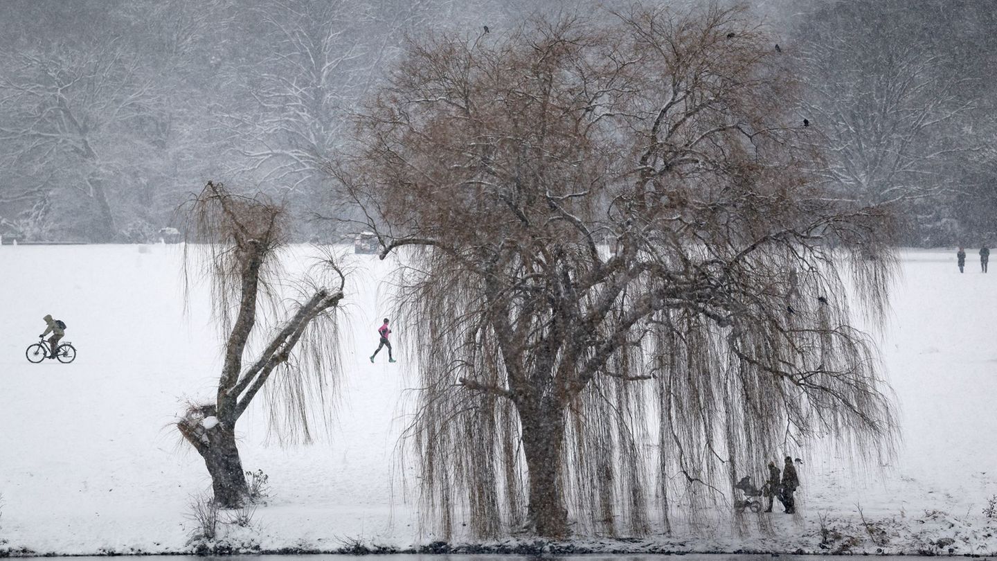 Der Stadtparksee ist fast zugefroren, aber längst nicht tragfähig. Das Schwanenwesen hat das für Übungen zur Eisrettung genutzt.