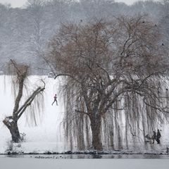 Der Stadtparksee ist fast zugefroren, aber längst nicht tragfähig. Das Schwanenwesen hat das für Übungen zur Eisrettung genutzt.