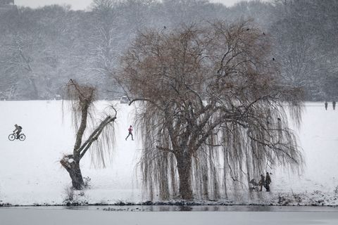 Der Stadtparksee ist fast zugefroren, aber längst nicht tragfähig. Das Schwanenwesen hat das für Übungen zur Eisrettung genutzt.