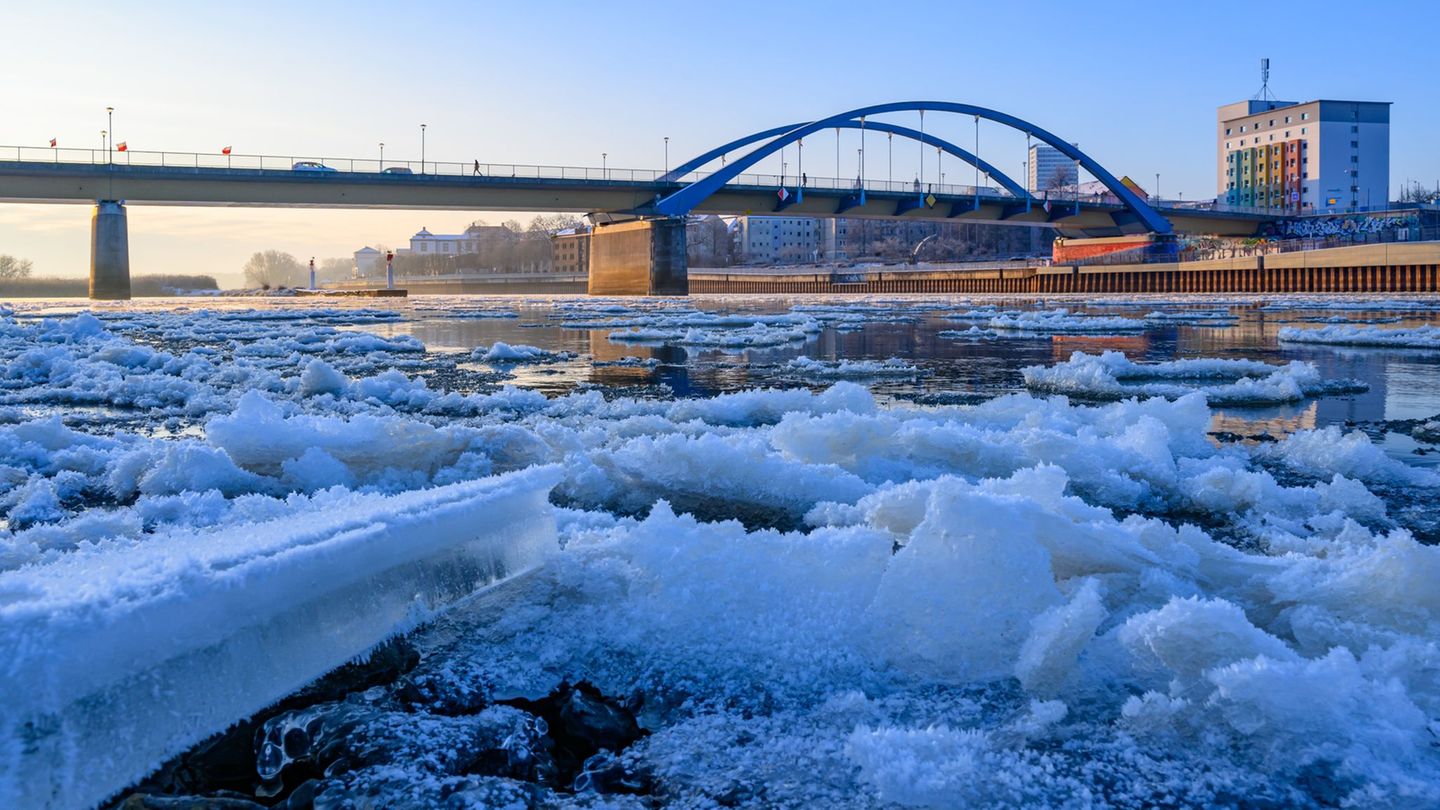Auf der Oder hat sich bereits Eis gebildet. (Archivbild) Foto: Patrick Pleul/dpa