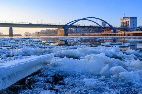 Auf der Oder hat sich bereits Eis gebildet. (Archivbild) Foto: Patrick Pleul/dpa