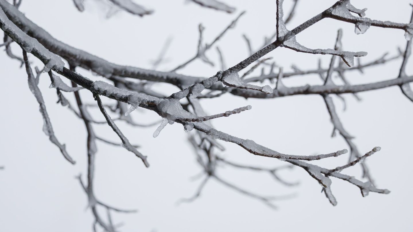 Tiefstwerte-Minus-12-Grad-in-Coschen-Bundesweit-niedrigste-Messung