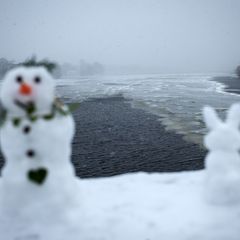 Auf einigen Gewässern in Hamburg bildet sich eine dünne Eisschicht. Foto: Christian Charisius/dpa