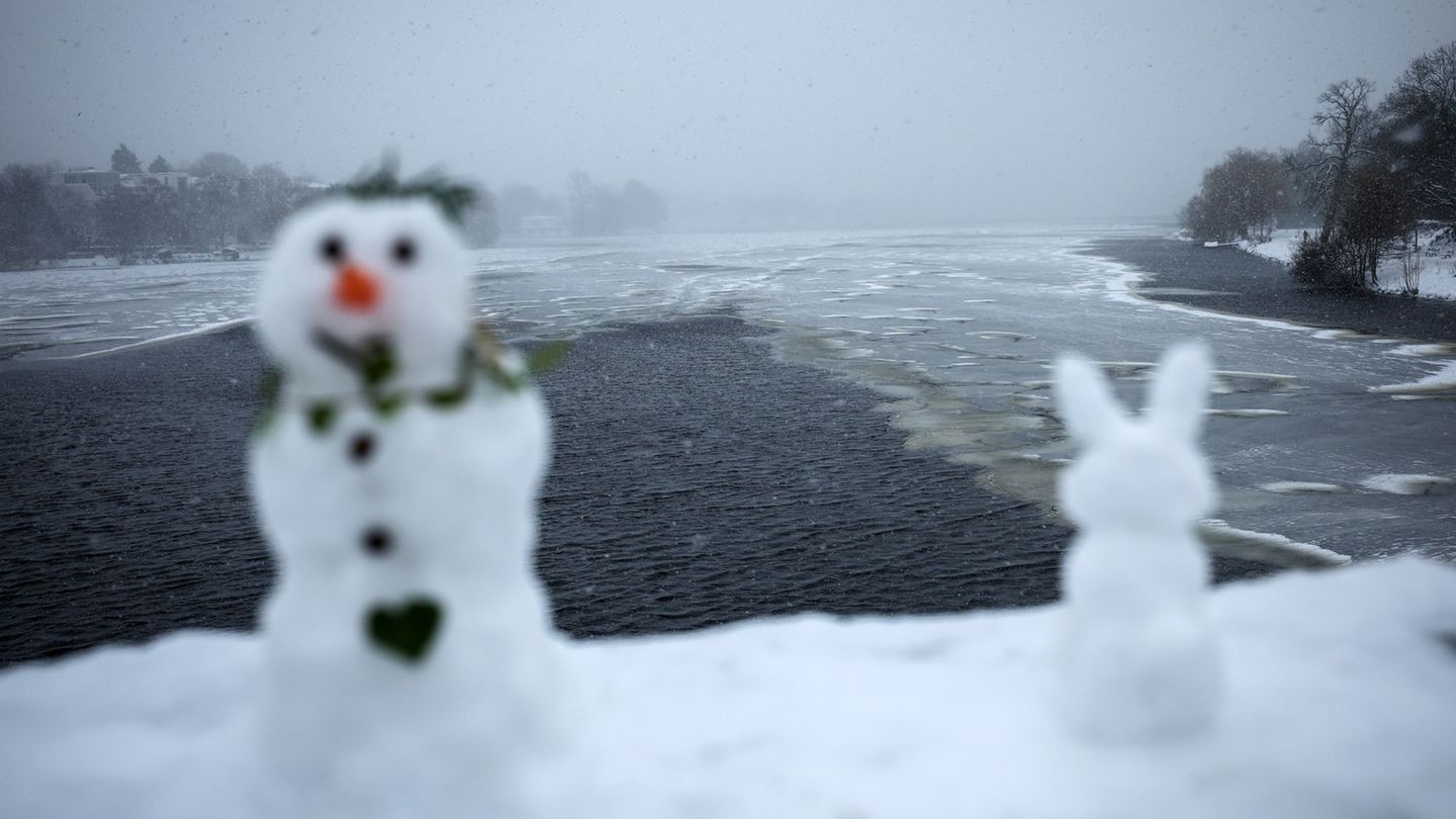 Auf einigen Gewässern in Hamburg bildet sich eine dünne Eisschicht. Foto: Christian Charisius/dpa