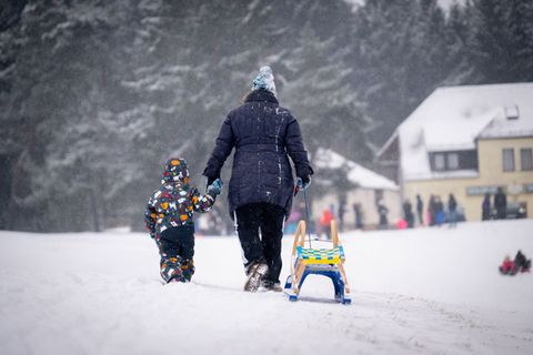 Noch ein letztes Mal Schlittenfahren, bevor die Warmfront kommt. Foto: Benjamin Westhoff/dpa
