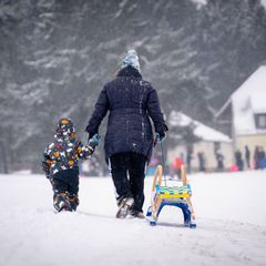 Noch ein letztes Mal Schlittenfahren, bevor die Warmfront kommt. Foto: Benjamin Westhoff/dpa