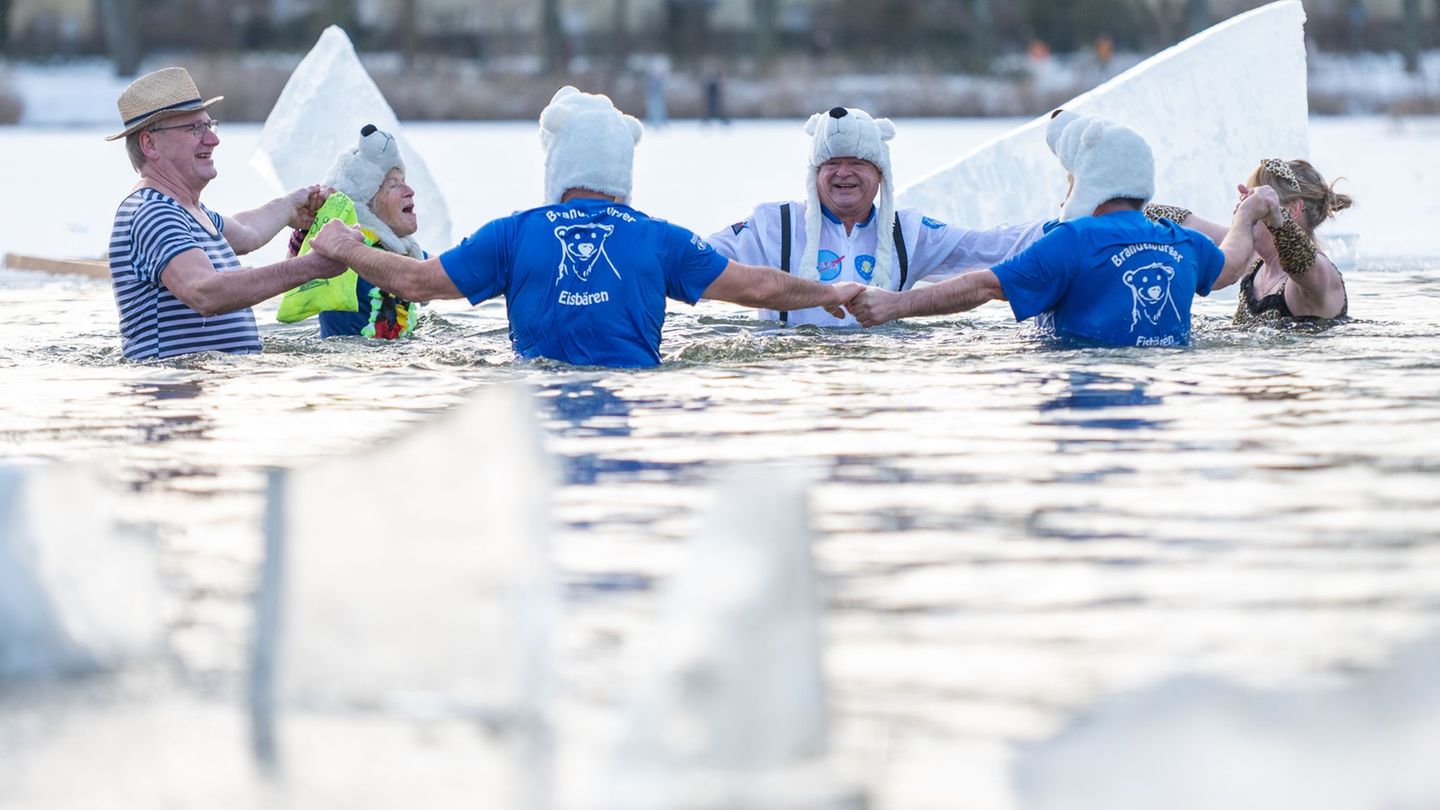 Trotz eisiger Temperaturen haben sich in Berlin mutige Badegäste in einen See gewagt. Foto: Christophe Gateau/dpa