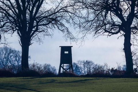 Die Hochsitze, zwischen denen sich das Jagdunglück ereignete, lagen 100 Meter voneinander entfernt