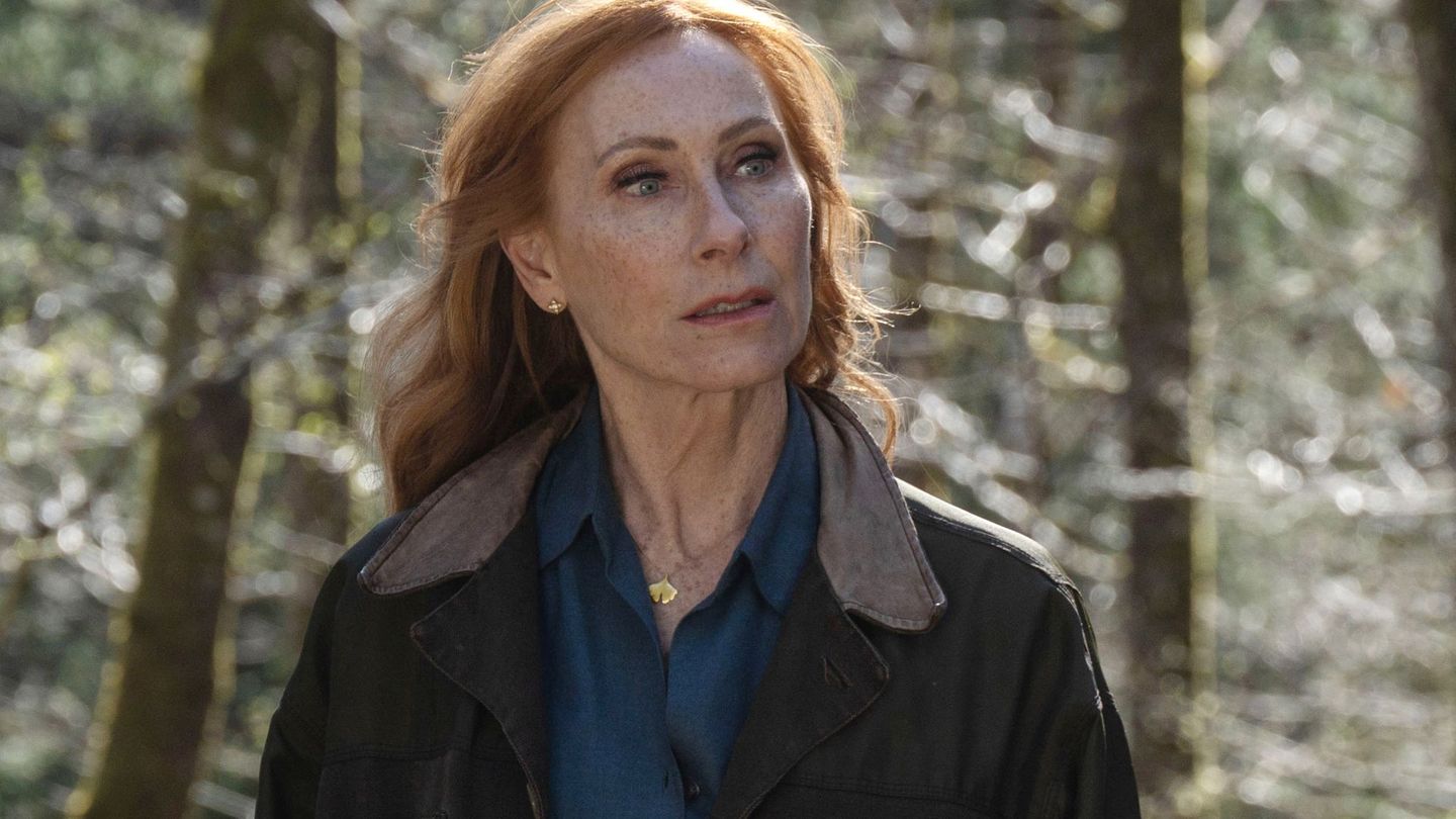 In ihrem zweiten Fall unterstützt Andrea Sawatzki als Freiburger Anwältin Lou Caspari einen alten Freund, dessen Frau spurlos verschwunden ist. Die Suche nach ihr wird zum Spießrutenlauf, weil die Social Media-Öffentlichkeit sich stark für den Fall Nicola interessiert.