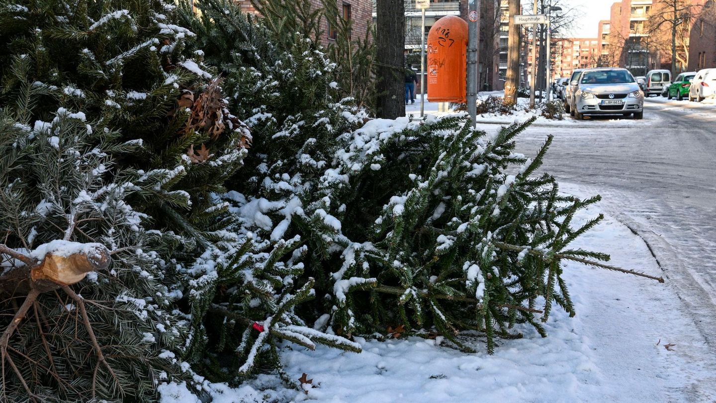 Die Christbäume waren jeweils mit vier Euro als Spende für die Pfadfinder bestückt. (Symbolbild) Foto: Jens Kalaene/dpa