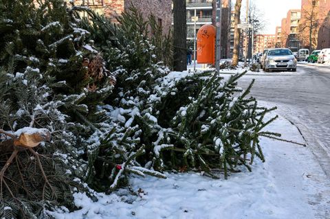 Die Christbäume waren jeweils mit vier Euro als Spende für die Pfadfinder bestückt. (Symbolbild) Foto: Jens Kalaene/dpa