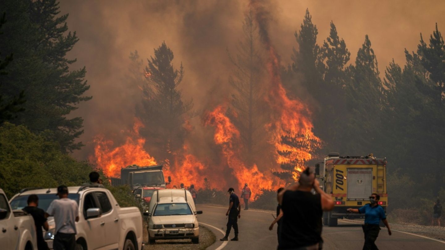 Argentinien: Waldbrände in Patagonien zerstören 15.000 Hektar Fläche