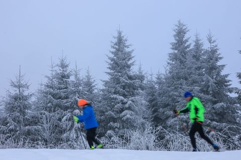 Reichlich Schnee in den vergangenen Tagen hat für gute Bedingungen auf der Kammloipe gesorgt. Foto: Jan Woitas/dpa