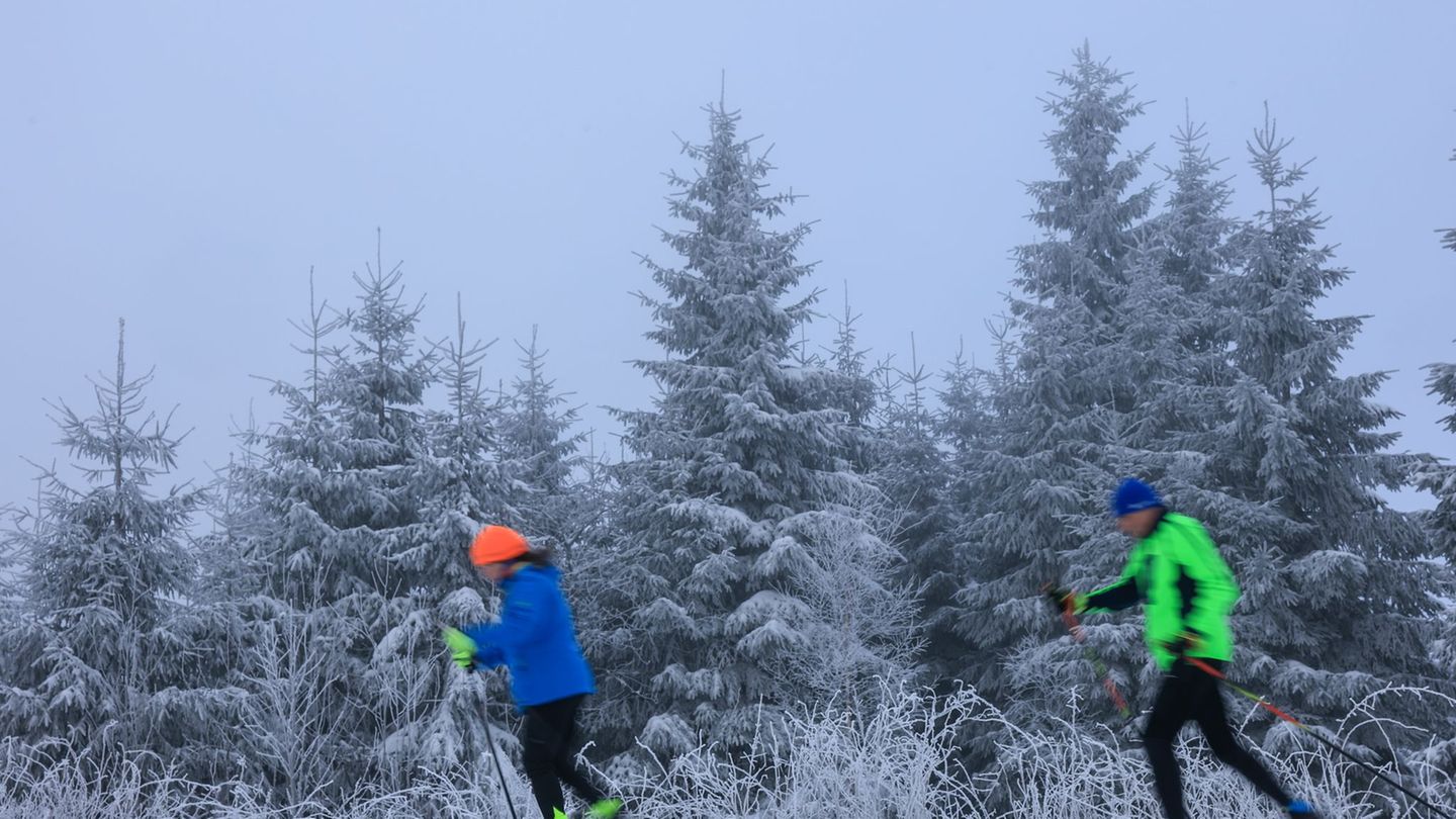 Reichlich Schnee in den vergangenen Tagen hat für gute Bedingungen auf der Kammloipe gesorgt. Foto: Jan Woitas/dpa