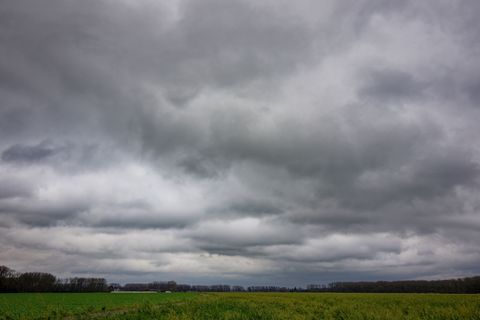Graue Regenwolken prägen in den kommenden Tagen das Wetter in Nordrhein-Westfalen. (Archivbild) Foto: Henning Kaiser/dpa