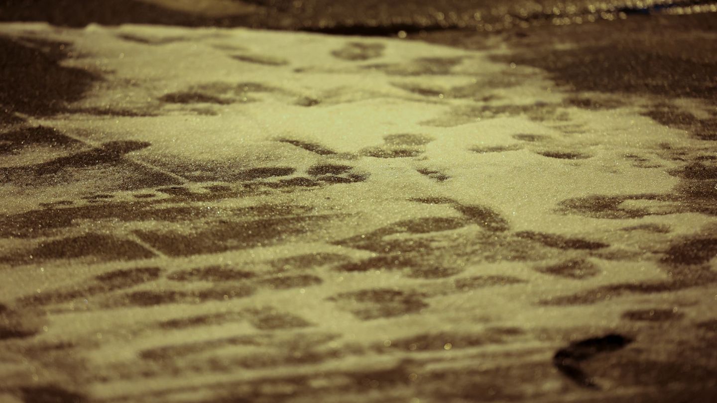Die letzten Schneereste schmelzen im warmen Regen. Foto: Christoph Reichwein/dpa