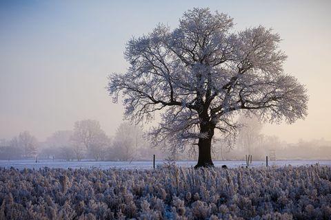 Das Winterwetter brachte vielerorts im Nordwesten klirrende Kälte. Foto: Moritz Frankenberg/dpa