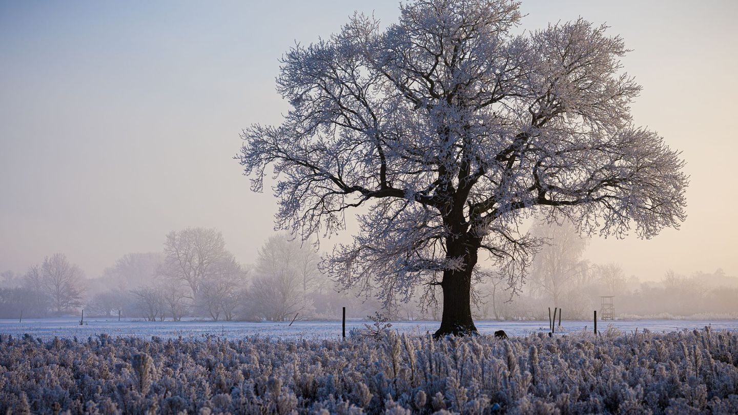 Das Winterwetter brachte vielerorts im Nordwesten klirrende Kälte. Foto: Moritz Frankenberg/dpa