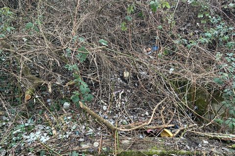 In einem Gebüsch in Worms liegt ein Schädel unter Ranken