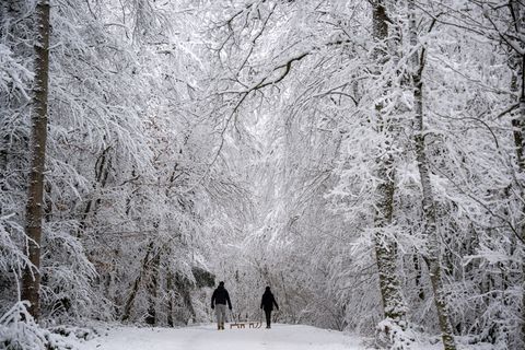 Einige Schulbusse konnten am Montagmorgen wegen des Winterwetters nicht fahren. Foto: Harald Tittel/dpa