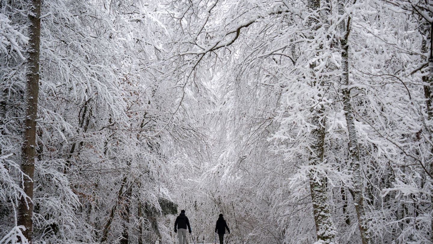 Einige Schulbusse konnten am Montagmorgen wegen des Winterwetters nicht fahren. Foto: Harald Tittel/dpa