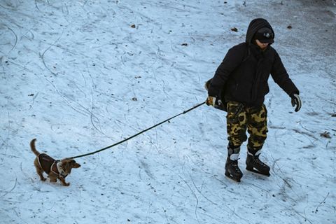 Mann mit Hund auf zugefrorenem Kanal in Berlin