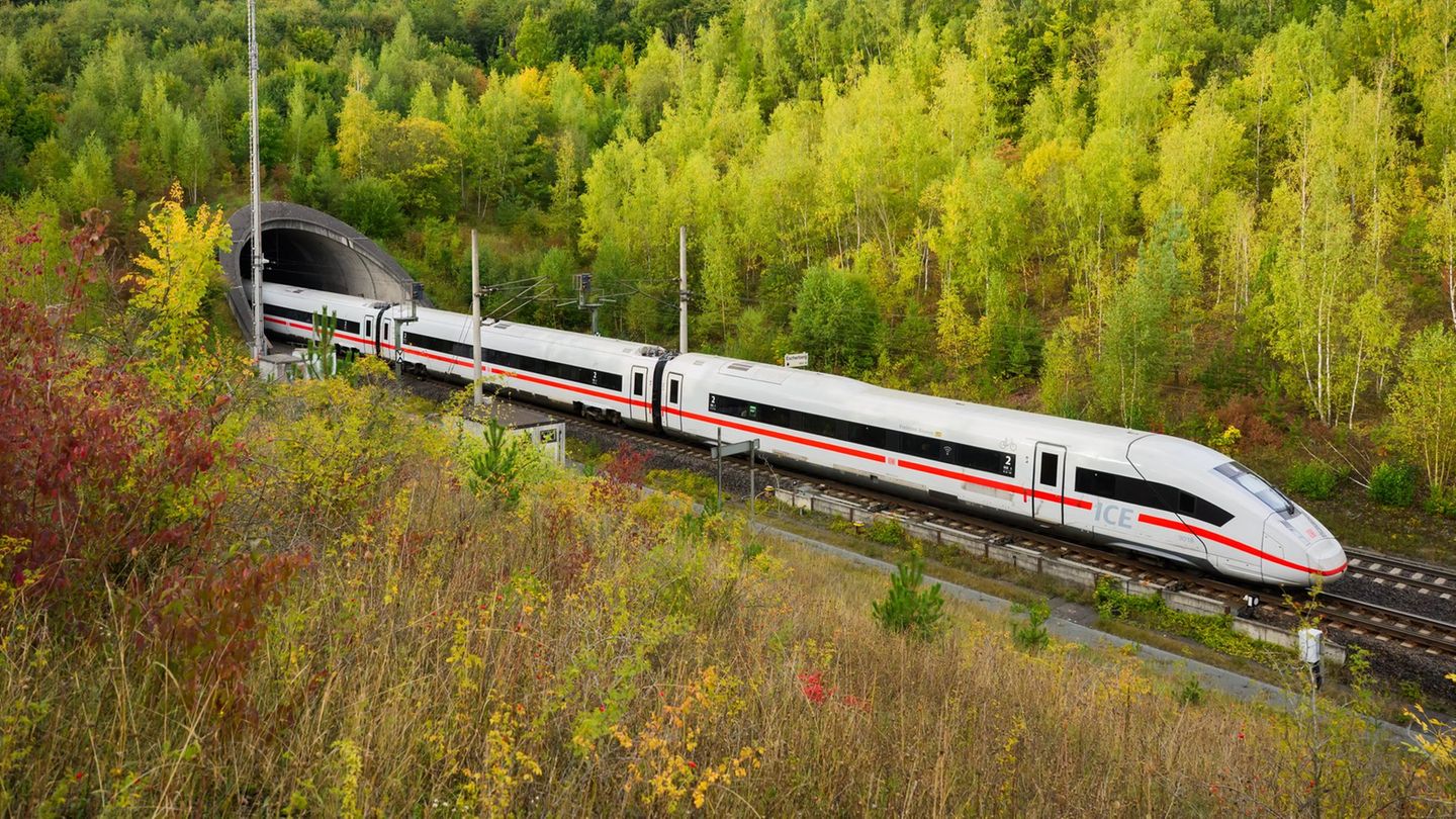 Die Bahnstrecke zwischen Hannover und Hamburg ist eine wichtige Verbindung im Norden und stark überlastet. (Archivbild) Foto: Sh
