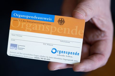 Im Osten Deutschlands sind die Spenderzahlen bei Organspenden besonders hoch. (Archivbild) Foto: Hendrik Schmidt/dpa/dpa-tmn