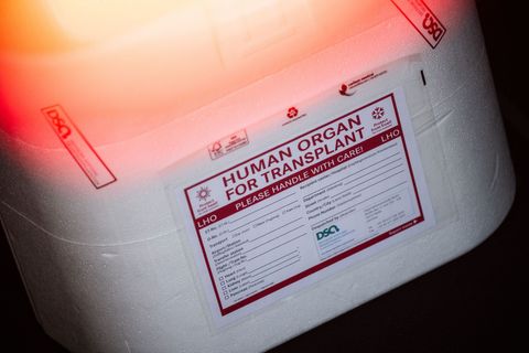 Die Zahl der Organspender in Bayern ist leicht rückläufig. (Symbolbild) Foto: Sebastian Gollnow/dpa