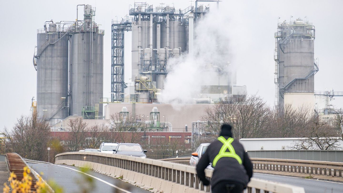 Die Chemiebranche ist besonders energieintensiv (Archivbild) Foto: Benjamin Westhoff/dpa