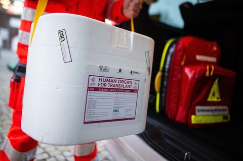 In der Transportbox kommen gespendete Organe zu ihren Empfängern