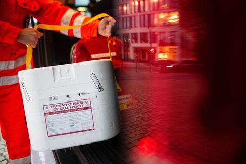 In Hamburg warten 161 Menschen auf ein Spenderorgan. (Symbolbild) Foto: Sebastian Gollnow/dpa/dpa-tmn