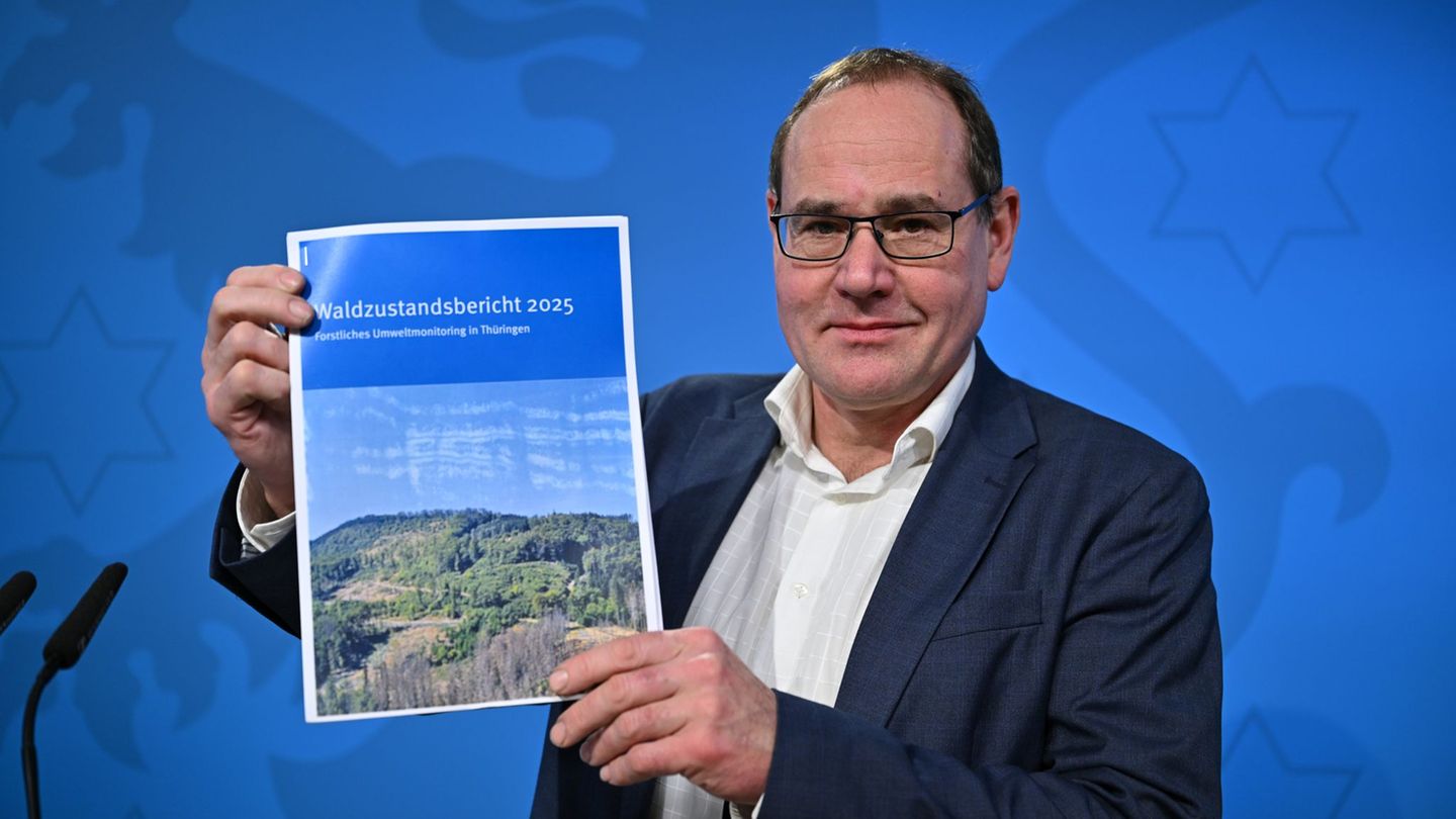 Laut Waldzustandsbericht sind mehr Waldflächen im Freistaat gesund. Foto: Martin Schutt/dpa