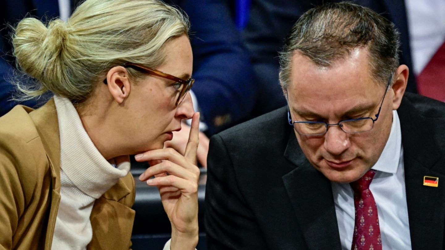 Weidel und Chrupalla