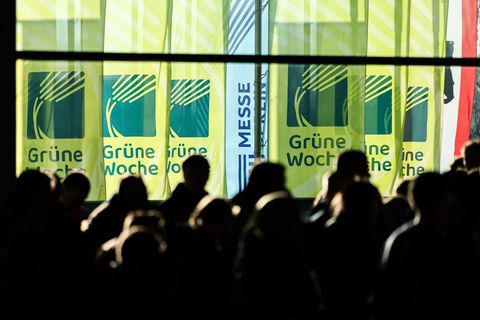 Die diesjährige Grüne Woche beginnt am Freitag in Berlin. (Archivbild) Foto: Hannes P Albert/dpa