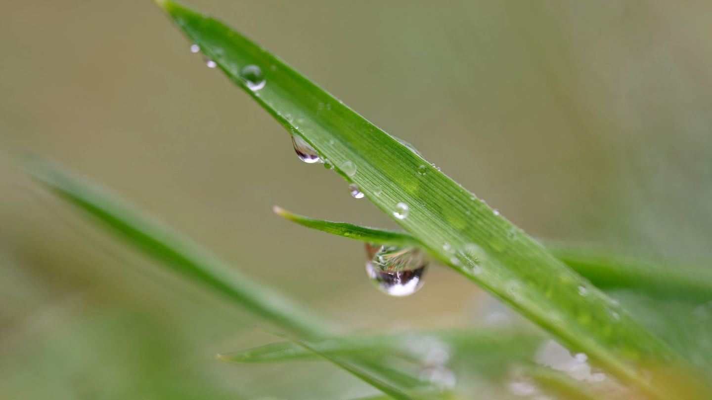 Die Menschen in Baden-Württemberg können sich auf wechselhaftes Wetter einstellen. Foto: Uwe Anspach/dpa