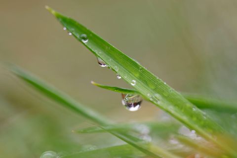 Die Menschen in Baden-Württemberg können sich auf wechselhaftes Wetter einstellen. Foto: Uwe Anspach/dpa