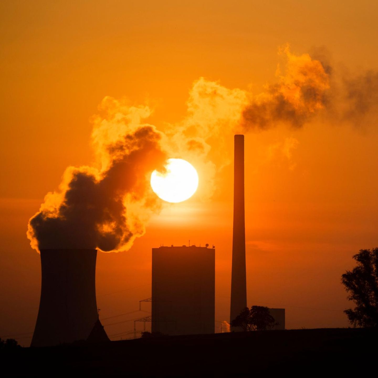 Klimawandel: Auf der Erde werden mehr Treibhausgase ausgestoßen, als der Planet speichern kann