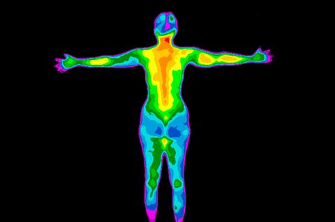 Ein Körper und seine Temperaturen