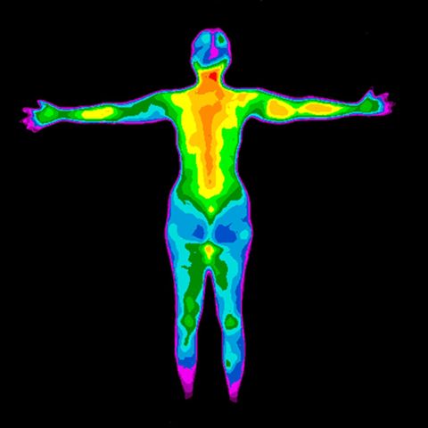 Ein Körper und seine Temperaturen